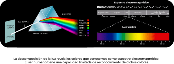 La Descomposición De La Luz - Transforma EDU