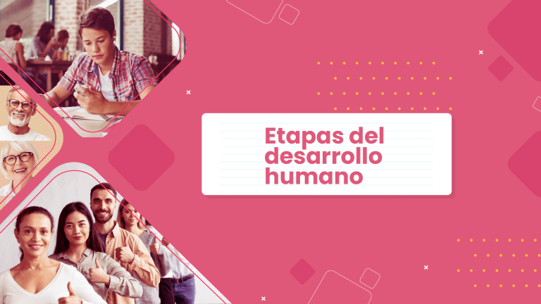 Etapas del desarrollo humano